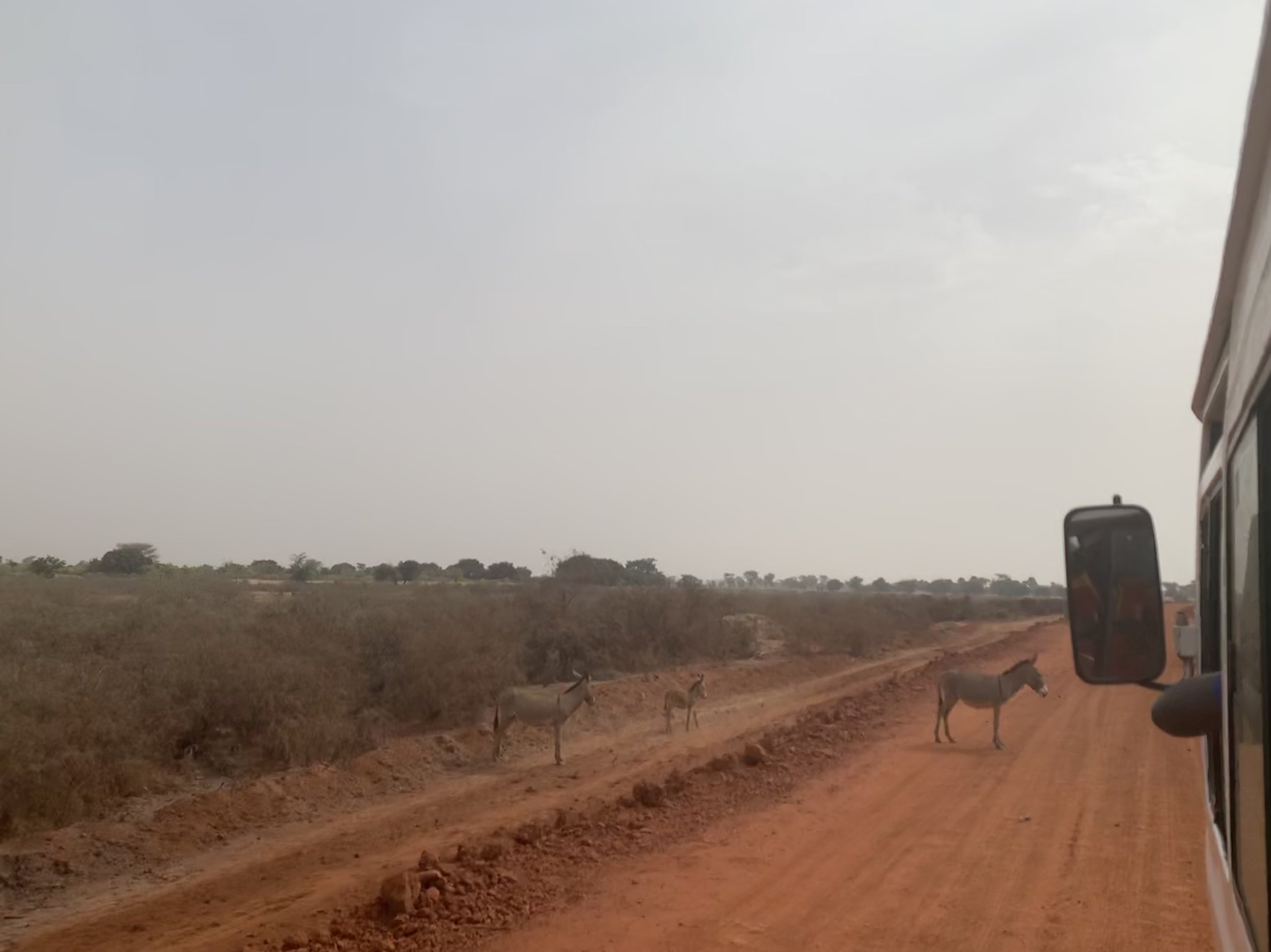 Africa rural landscape with dirt road and donkeys. The sky is overcast. The photo appears to be taken from the side of a moving vehicle, with part of the vehicle's side mirror visible in the lower right corner.