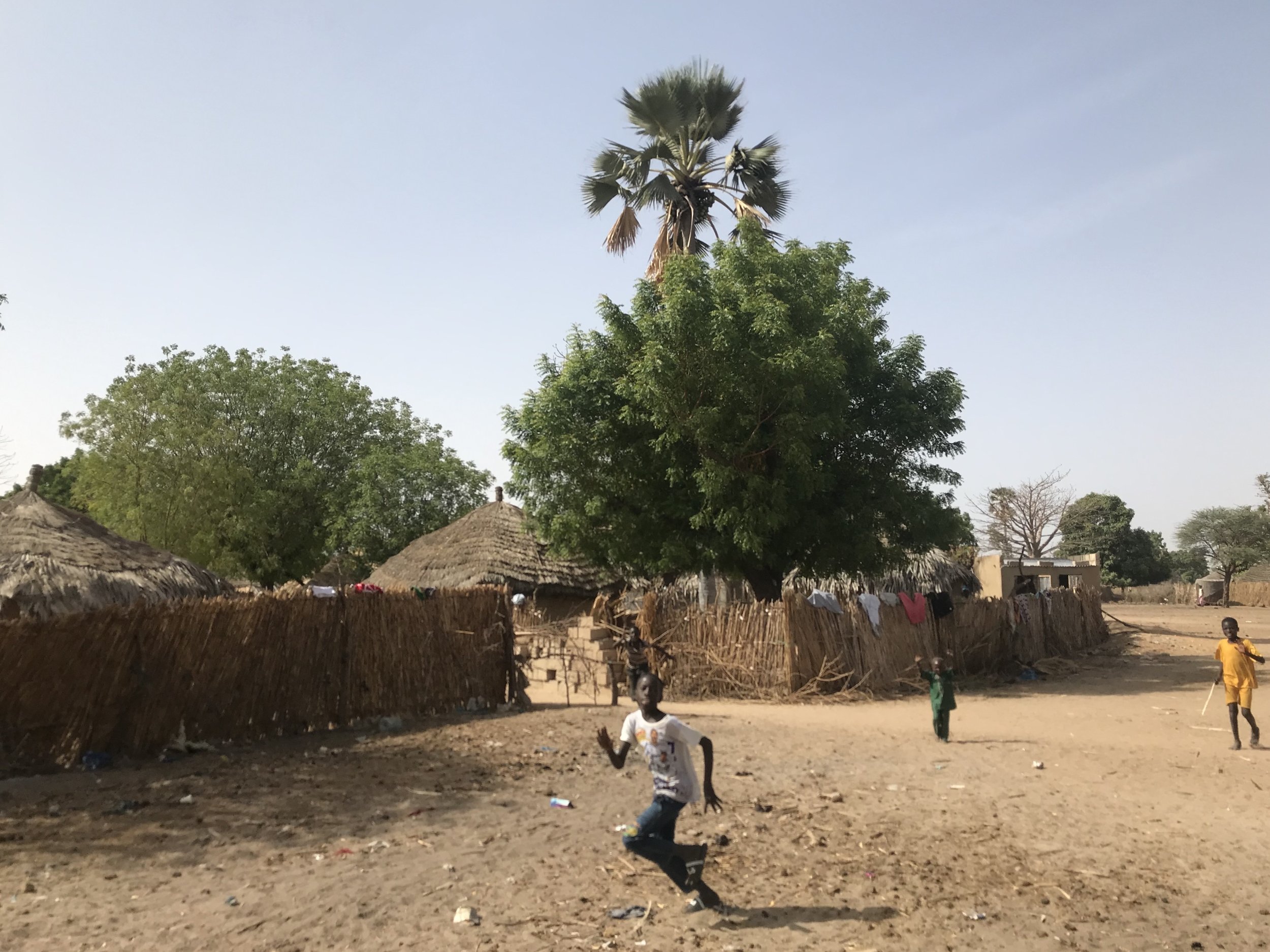 Children playing outside in a rural village with thatched roof huts, tall trees, and a clear sky in the background.